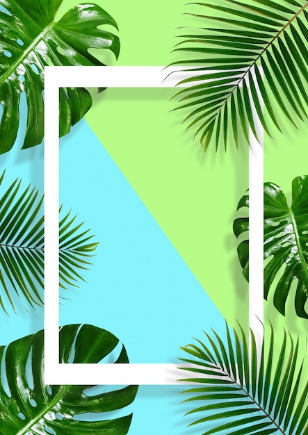 Photo creative tropical leaf frame on blue and green background