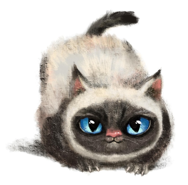 Photo cute cat kitty kitten animal illustration