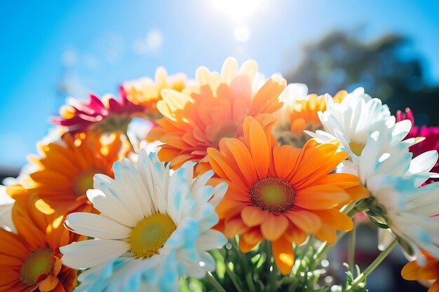 Photo of Daisy bouquet with a tropical theme