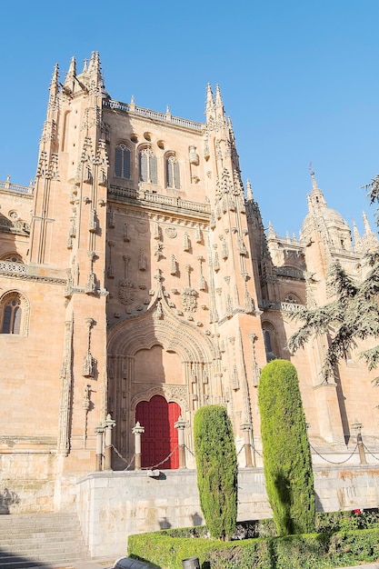 Photo detail of part of the Salamanca catedral in Spain