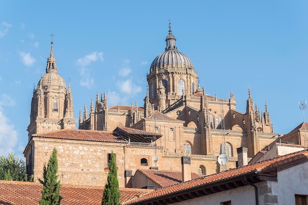 Photo detail of part of the Salamanca catedral in Spain