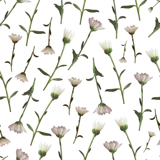 Photo and Digital Seamless Pattern with Nature Chrysanthemums Flowers