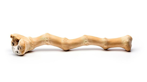 Photo a photo of a dog bone toy full length photo