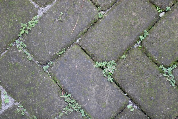 Photo of footing cement texture on the ground