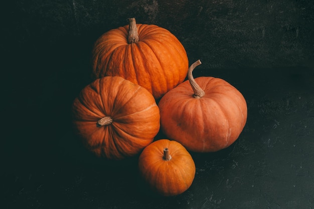 Photo of four orange pumpkins on black background halloween celebration space for inscription