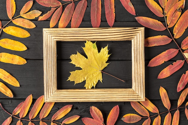 Photo frame and colorful autumn leaves