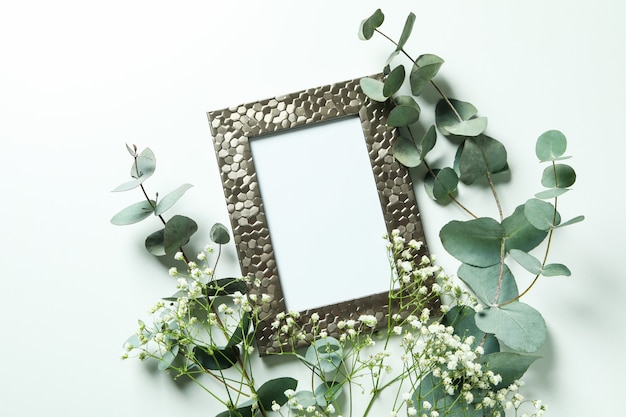 Photo frame, eucalyptus and gypsophila isolated on white