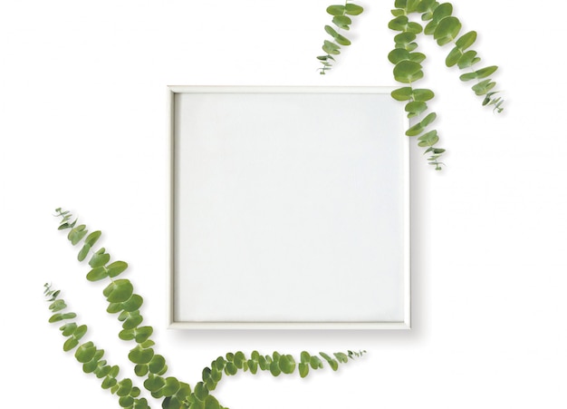 Photo frame and eucalyptus leaves on white background