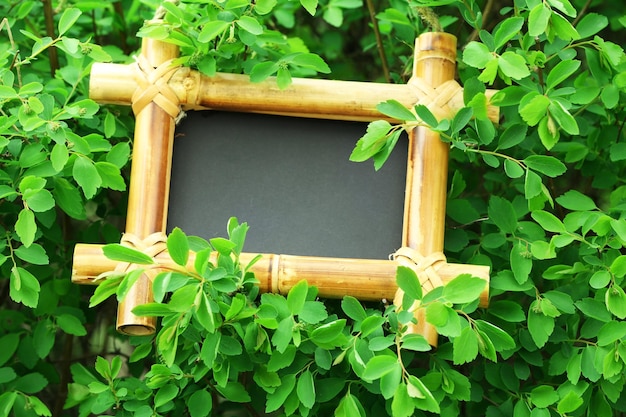 Photo frame over green bush background