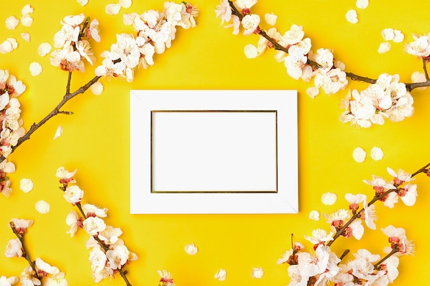 photo frame and sprigs of apricot tree with white flowers