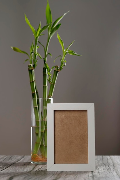 фоторамка с бамбуковым растением