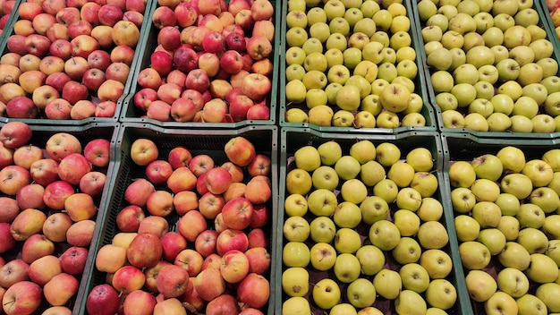 photo of fresh apples in boxes