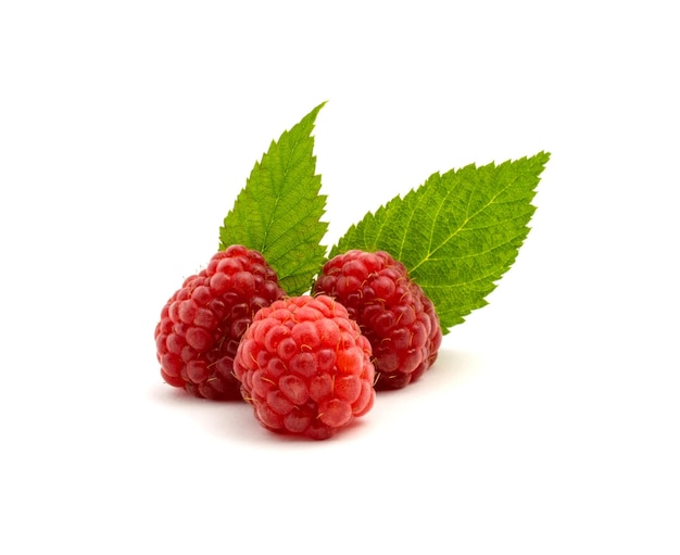 Photo of fresh red raspberry isolated on white background