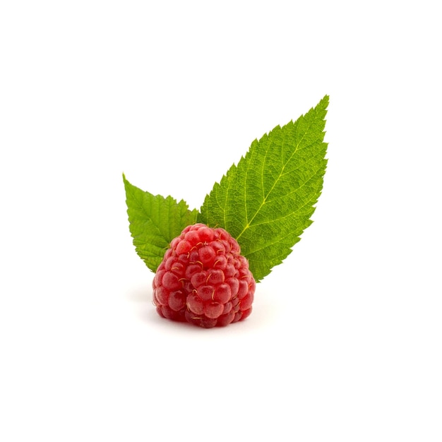 Photo photo of fresh red raspberry with leaves isolated on white background