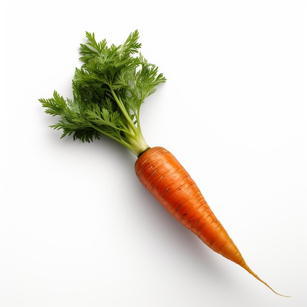 photo of fresh vegetables isolated on white background