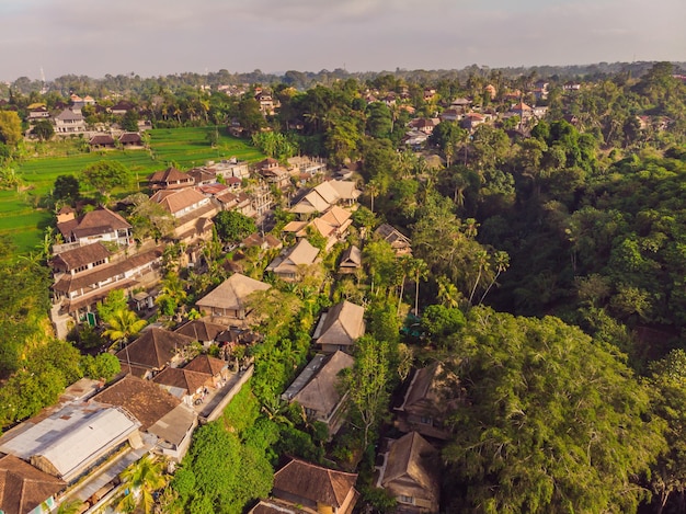 무인 항공기에서 사진 Ubud Bali Indonesia의 Ubud 공중 풍경