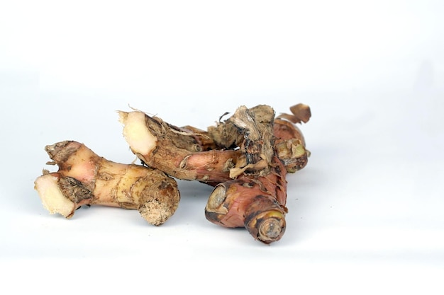 Photo of galangal in isolated white background