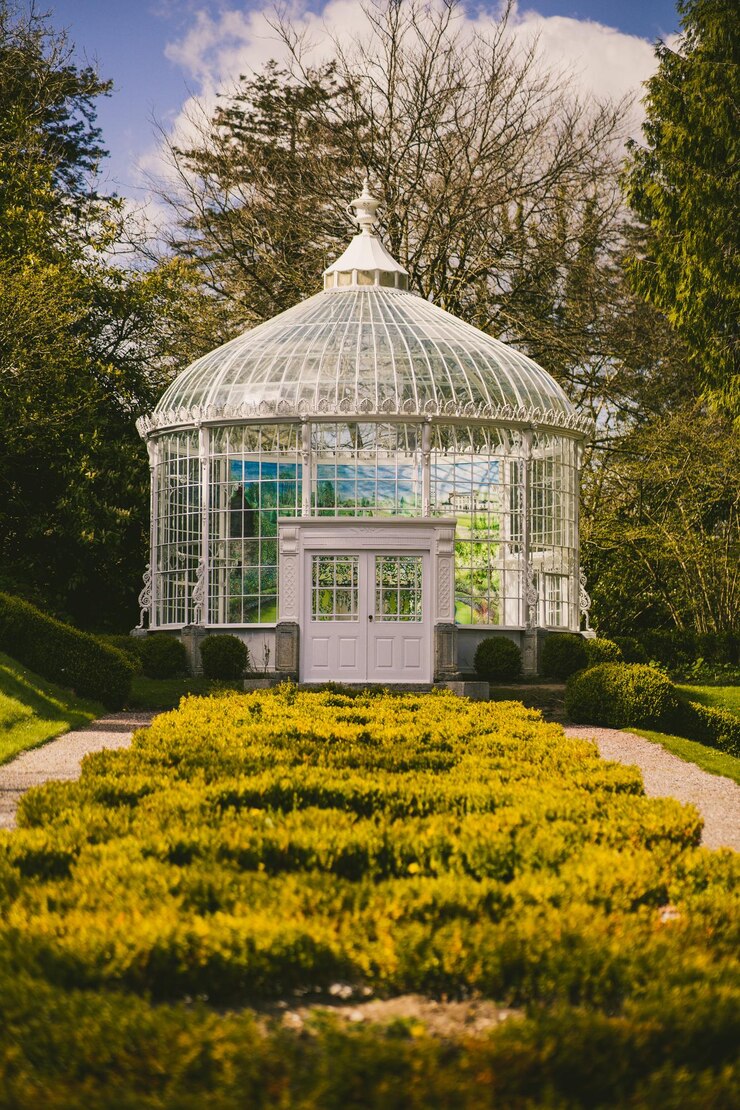 फोटो photo of a glass gazebo in the middle of the park in front of the forest