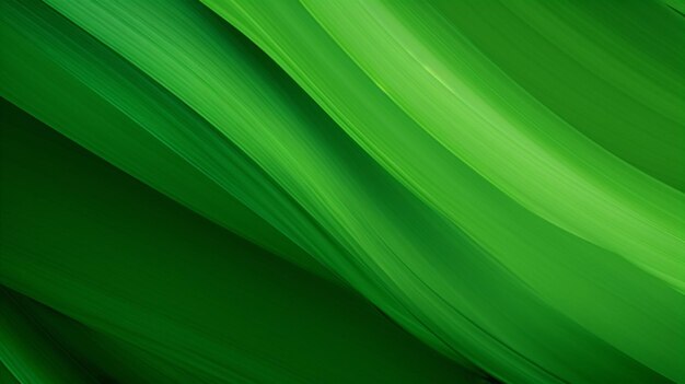 Photo of green backgrounds and green abstract backgrounds