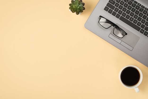 Above photo of grey laptop glasses plant and cup of coffee\
isolated on the beige backdrop with blank space