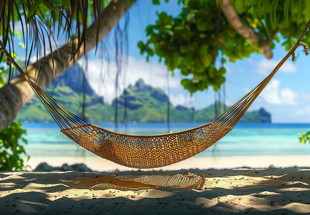 Photo of a hammock swing is on a summer beach with palm trees