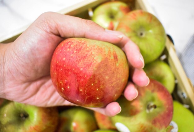 Photo of hand showing off apple from the top angle with apples in the background