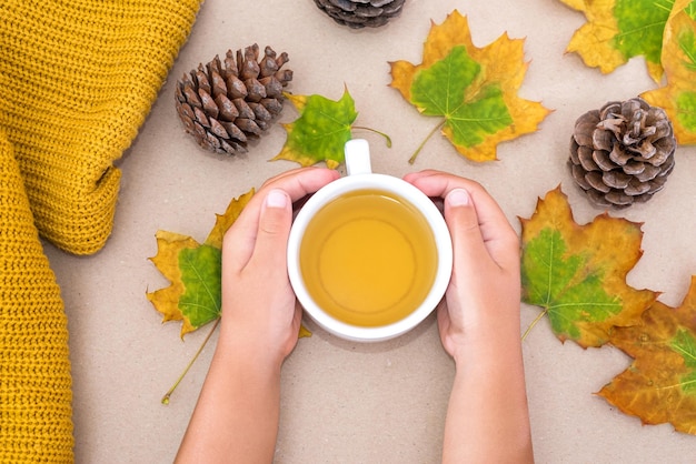 Photo of hands with yellow autumn maple leaves and a cup of tea on an isolated light brown background