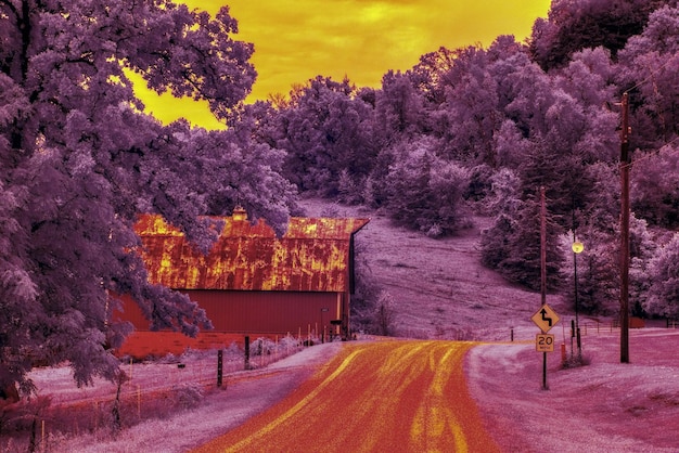 Photo photo of infrared photo