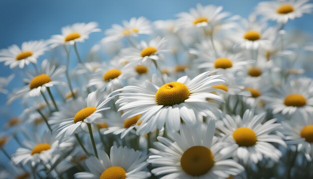 写真は日常の仕事に欠かせないものです AIが生成した最高の素晴らしい写真