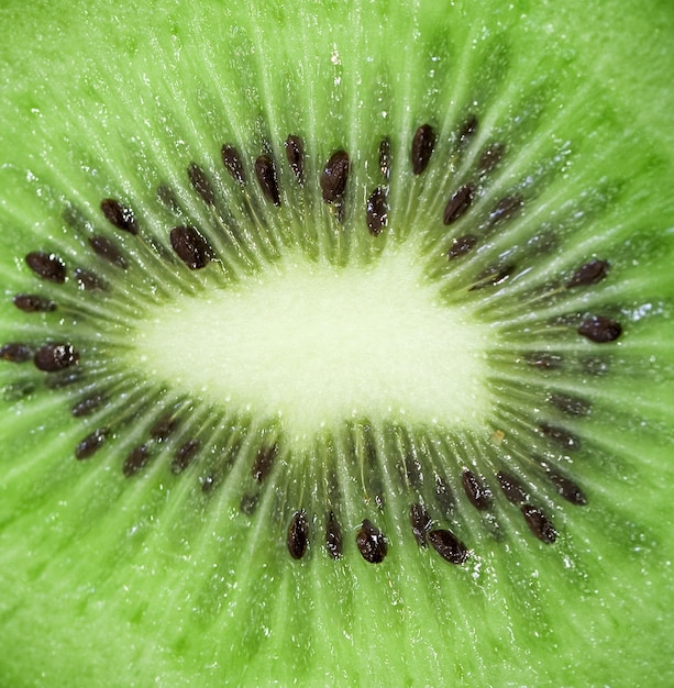 Photo of a kiwi