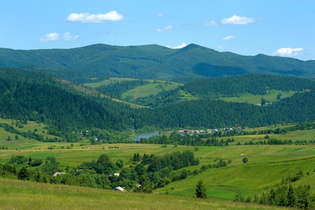 Photo landscape Carpathian mountains and trees against the sky