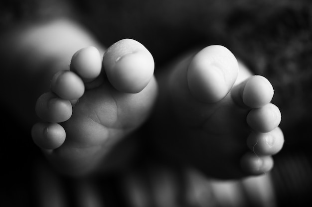 Photo of the legs of a newborn. Baby feet covered with wool isolated background. High quality photo