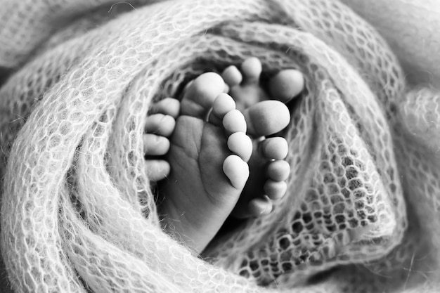 新生児の足の写真。ウールの孤立した背景で覆われた赤ちゃんの足。ソフトセレクティブフォーカスの新生児の小さな足。足の裏の白黒画像。高品質の写真