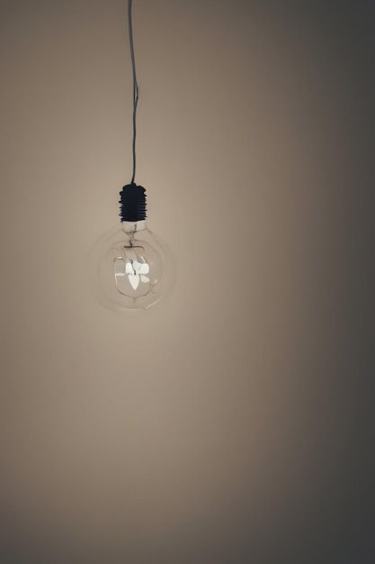 Photo of Light Bulb