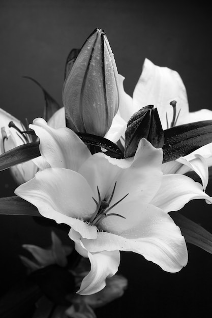 Photo of lilies in black and white monochrome. Wallpaper concept