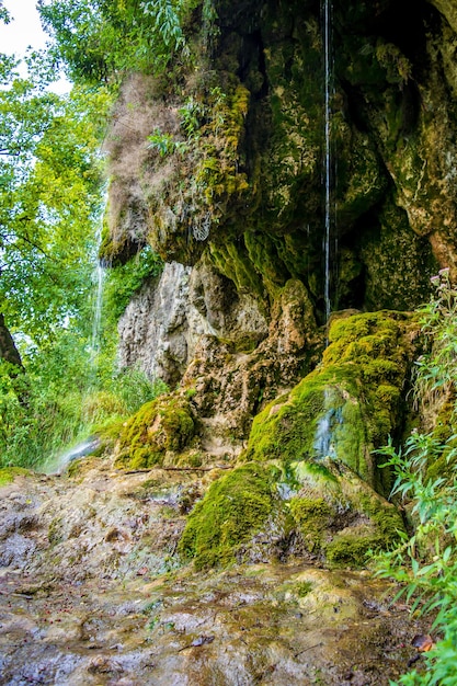 Photo photo of little beautiful waterfall flowing in cave