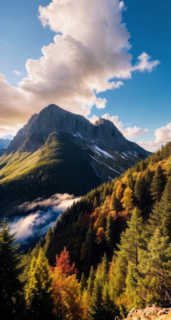 Photo photo of a mountain and blue sky with clouds forest photography