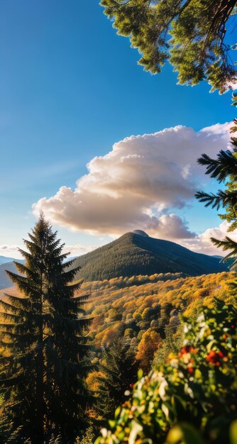Photo photo of a mountain and blue sky with clouds forest photography