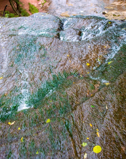 Photo of mountain river flowing through the green forest in mountains