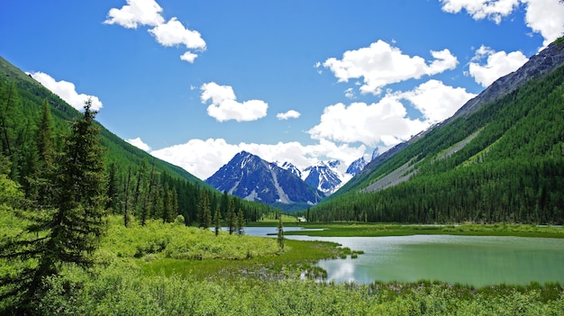 Photo of mountains in Altai. Rivers, valleys, trees, clouds