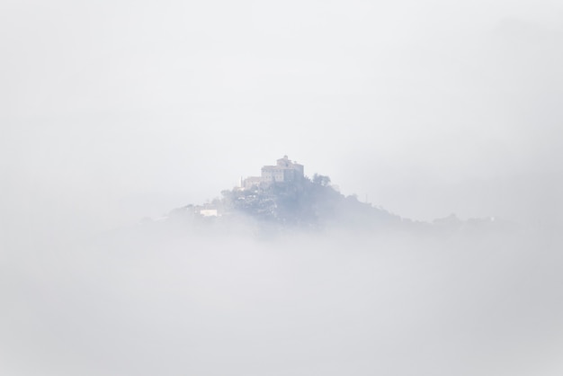 Foto di una misteriosa foresta con nebbia in autunno