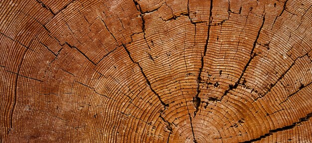 Foto della superficie in legno strutturata naturale