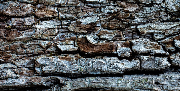 自然な質感の木製表面の写真