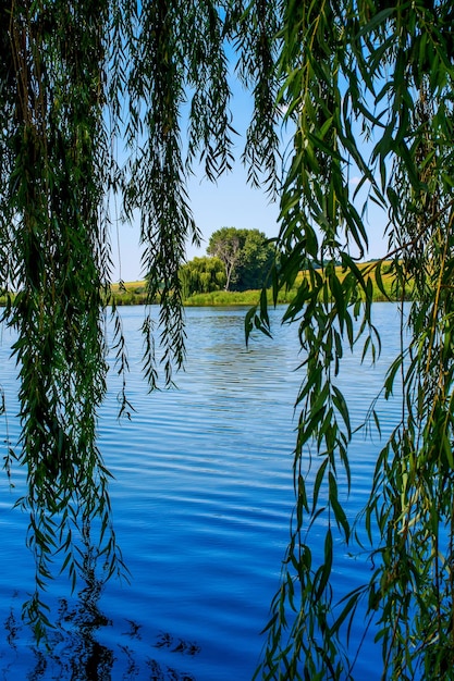 Photo of nature around beautiful blue lake at summer