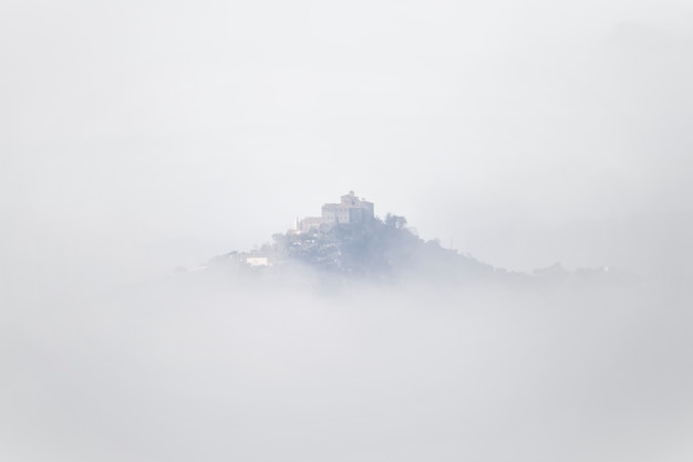 Фото Фотография загадочного леса с туманом осенью