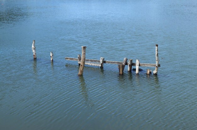 写真 海辺の竹のフェンスの写真