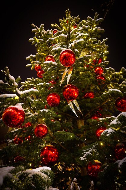 写真 クリスマスの写真 クリスマスの装飾 休日