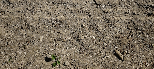 photo of old cement surface