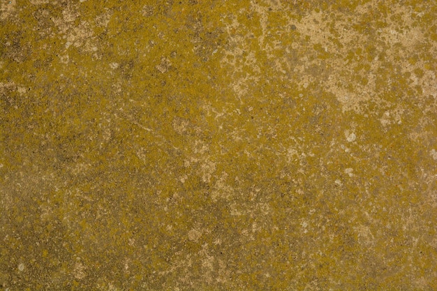 Photo of an old grunge cement wall texture background