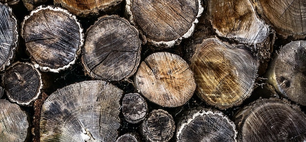 photo of old logs